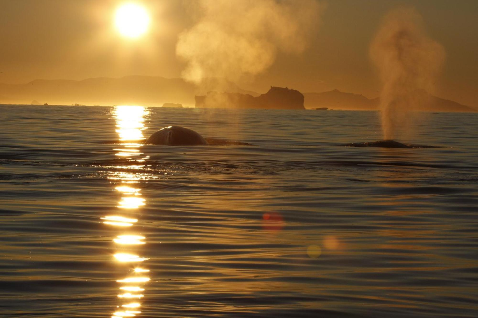 Hotel Icefiord Ilulissat Dış mekan fotoğraf